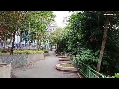 Sembawang River / Admiralty Drive 12 Nov 2025