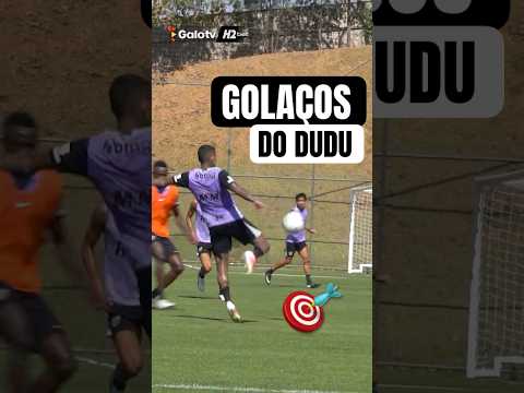 image para ilustrar o artigo