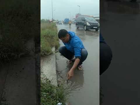 Unbelievable This Culvert Full Clogged And Never Drain #unclog #clean #drain #shorts