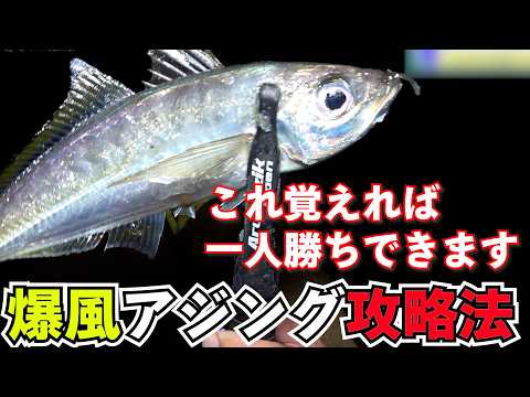 これで独り勝ち！風があっても鯵が釣れる方法をガチテスターが冬アジング攻略教えます