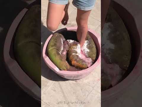 من الذي يرمي ألعابه؟ 👾 لقد منحت هذه اللعبة التالفة والمتسخة حياة ثانية