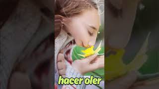 QUIERE QUE LE BAILE