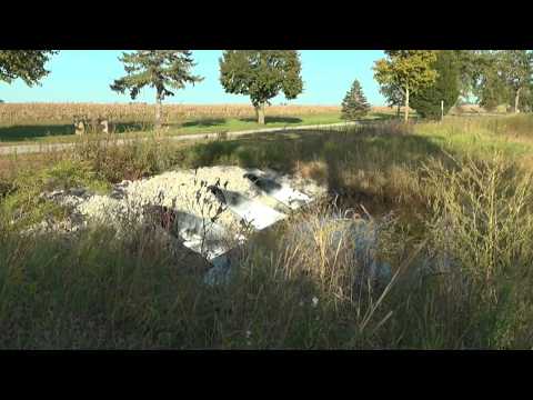 Artificial wetland manages storm water runoff in Durant