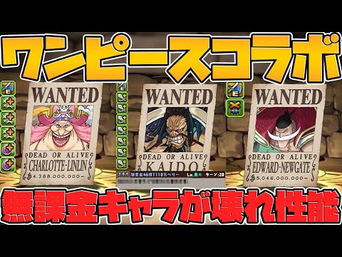 ワンピースは無課金キャラも強い！ダンジョン周回で激ウマ報酬ゲット！！【パズドラ】