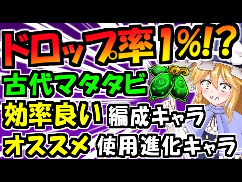 【にゃんこ大戦争】古代マタタビ の 入手方法 優先 オススメ したい 進化キャラ 古代の神秘 攻略 編成キャラ について 徹底解説【ゆっくり解説】