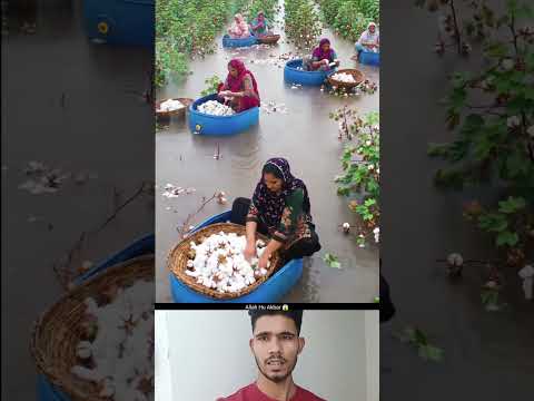 '' Allah hu Akbar 😱'' #shortsfeed #muslimcontent #duet #ilovemohammadﷺ #panjab #news #trending