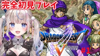 【#ドラゴンクエスト5 】ドラゴンクエストV 天空の花嫁　完全初見プレイ！【#咲来希々/#vtuber 】