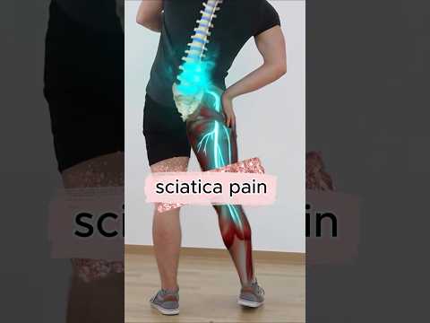 book your appointments for hyderabad on 28 feb & 1 march.#chiropractor