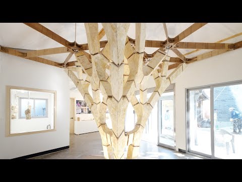 Tree-shaped structure shows how mushroom roots could be used to create building frameworks