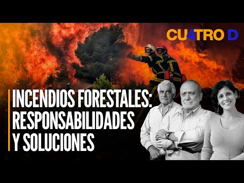 Incendios forestales: Responsabilidades y soluciones | Cuatro D