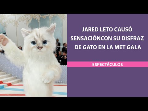 Jared Leto causó sensación con su disfraz de gato en la Met Gala