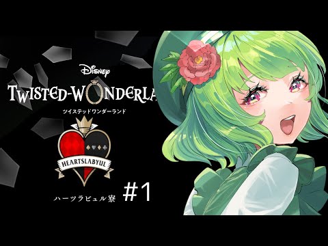 thumbnail_9MrWNAPMWoI