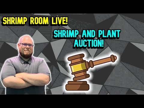 Live Plant and Shrimp Auction! Come hang out and get some cool stuff!