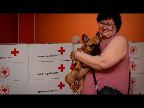 Podcast: Ukraine War Relief for People and Pets
