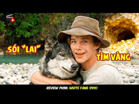 [Review Phim] White Fang – Cuộc Phiêu Lưu Sinh T.ử Ở Alaska Băng Giá.