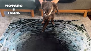 動画サムネイル