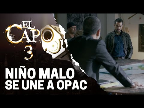 Más personas a favor de OPAC | El Capo 3