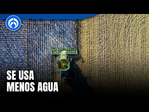 Agricultura regenerativa: La nueva solución para las sequías extremas