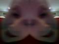 alexmathis1