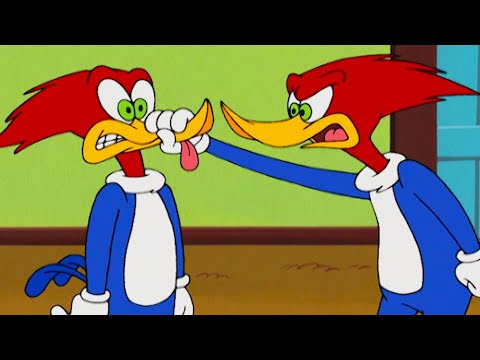 TWO Woodys? 🤯 | Woody Woodpecker