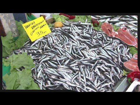 Hamsi 35 Liraya Geriledi