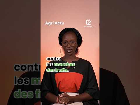 La #CEDEAO a validé deux biopesticides ouest-africains, à savoir le Mango Protect et SEN-BIOTRAP.