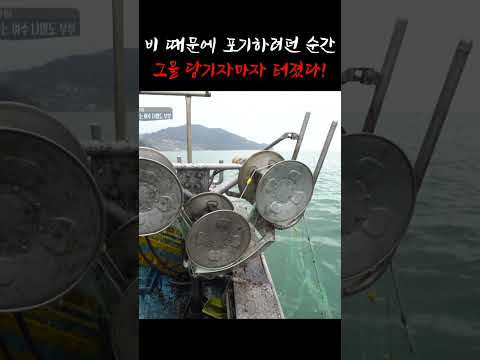<strong>빗속에서</strong> 그물 당기자마자 쏟아진다...! #shorts