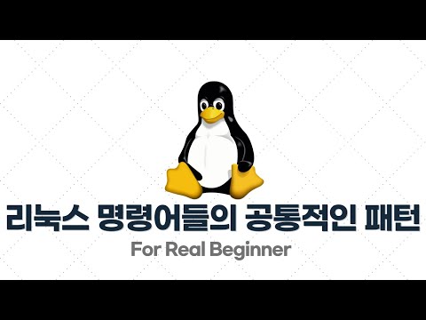 리눅스 입문·실전 - 2.4. 리눅스 명령어들의 공통적인 패턴 - 옵션(Option)