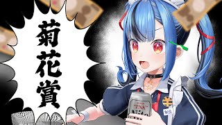 【2025菊花賞】ルメール！？ルメールなのか！？！？や、やめろおおおおおおおおおおお