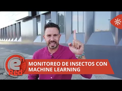 EnRed | Monitoreo de insectos con Machine Learning