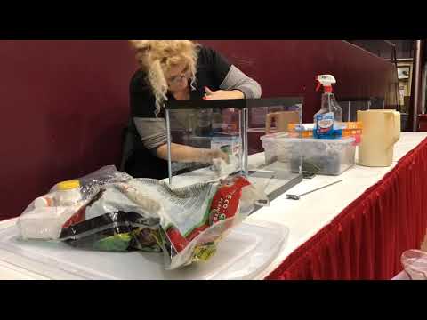 Making a Masterpiece Have you ever wondered what goes into Aquascaping a tank?  It’s a lot of work but it can be very r