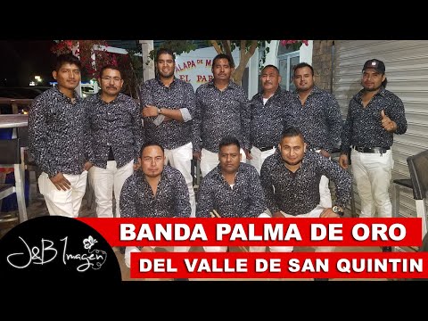 Desde San Quintín Banda estilo Sinaloense Palma de Oro - Gente Extraordinaria.