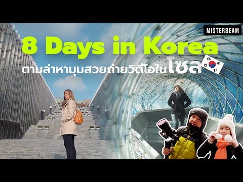 8DayinKoreaตามล่าหามุมสวยถ