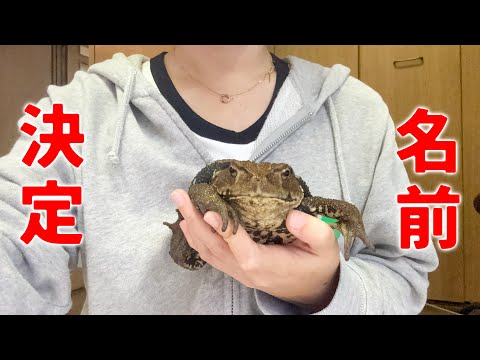 ついに名前が決まりました！