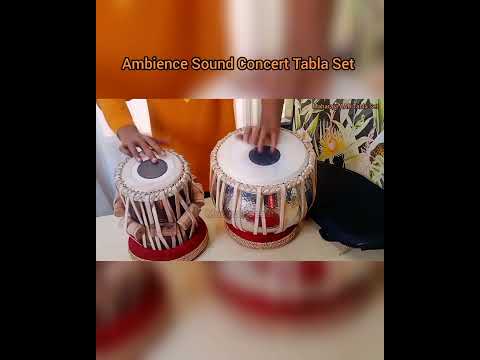 🎵 world's top professional tabla set 🥁 | unreal sound | #sound #demo #tabla