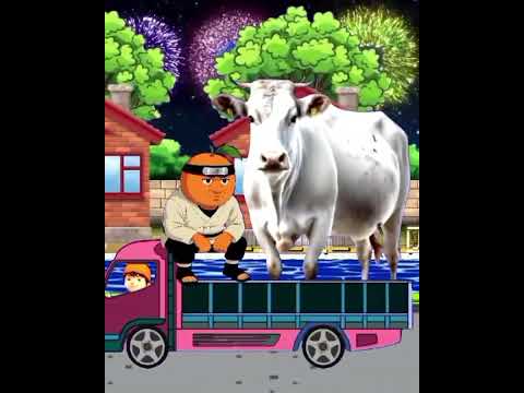 Parade takbiran keliling malam idul adha 2025 ada sapi kurban #allahuakbar #fyp  #takbiran