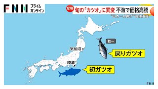 Changing Ocean Currents Shift Japan’s Tuna Harvest