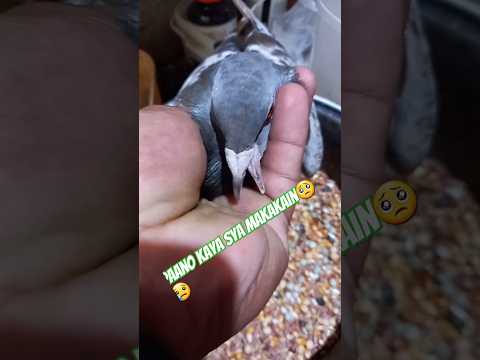 MABUHAY PA KAYA TO🥺😢😢