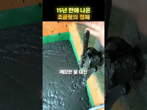 <strong>15년</strong> 만에 수도를 틀었더니 😳🚰