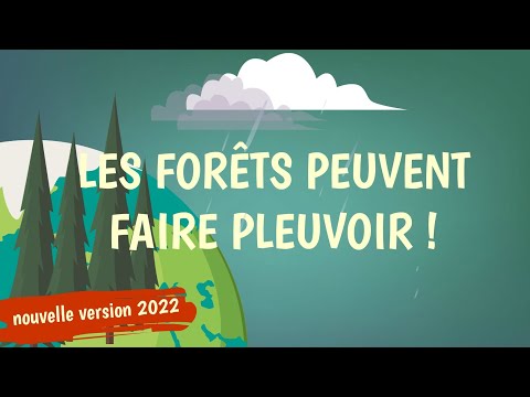 LES FORÊTS PEUVENT-ELLES FAIRE PLEUVOIR ?