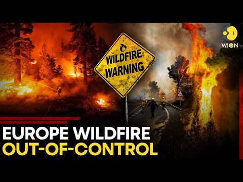 Europe Wildfires LIVE: Flames Go OUT OF CONTROL In Southern Europe! Mass Evacuations Underway | WION