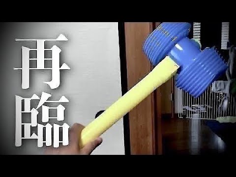 【事故物件】パクられ過ぎた元祖ピコハン　#classic #心霊 