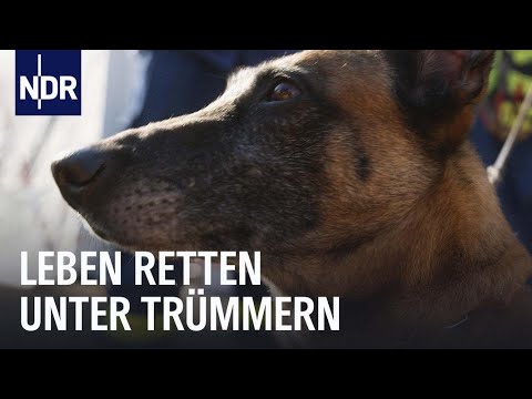 Leben retten nach dem Erdbeben in der Türkei | Wahre Helden – Einsatz fürs THW | NDR Doku