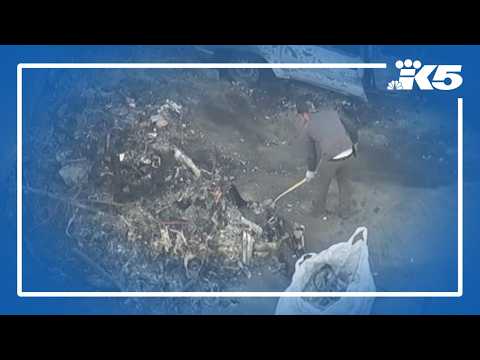Investigators begin removing wreckage of <strong>news</strong> helicopter crash in Los <strong>Angeles</strong>