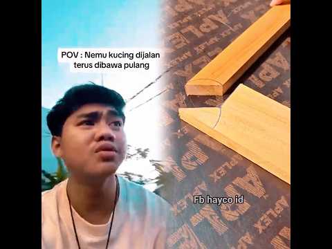 DRAMA Adinsyach, Nemu kucing dijalan dibawa pulang #shorts.