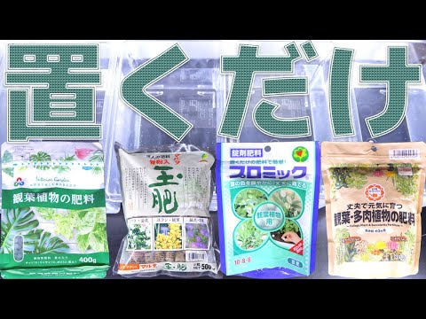 【置き肥】土の上に置いて使う肥料が園芸界にはあるらしい。朝日アグリア 観葉植物の肥料、太田油脂 マルタ玉肥小粒、ハイポネックス プロミック観葉植物用、日清ガーデンメイト 丈夫で元気に育【ふぶきテトラ】