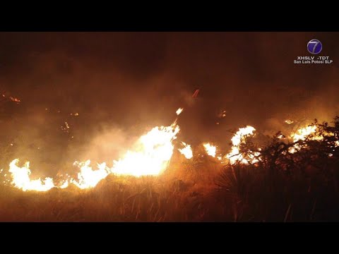 Provocado, incendio en Sierra de San Miguelito; afirma PC