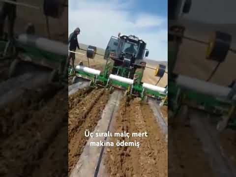 üç 3sıralı  malç makinası MERT makina ödemiş ufuk mert gübreli gübresiz hat ayarlamalı