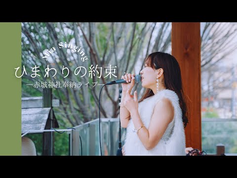 ひまわりの約束／秦基博／Cover by Mia／神楽坂赤城神社奉納ライブ／日本の文化国家資格保有公認ガイド
