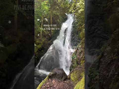 ☀️CITATIONS SUR LE BONHEUR LES PLUS MOTIVANTES ☀️ #équitation #equestrian #motivation